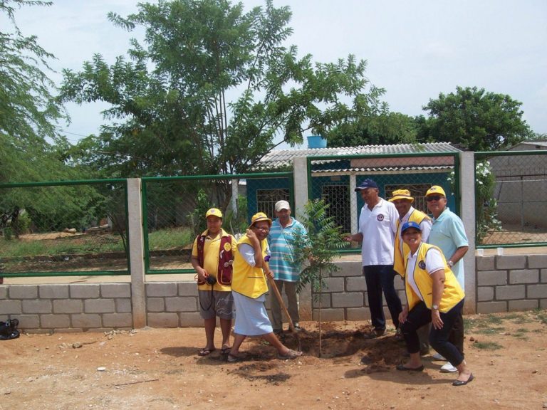Reforestación en El Sector del Barrio Los Lirios